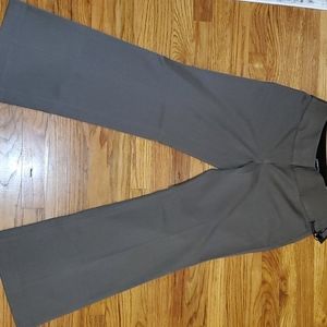 Express Dress Pants